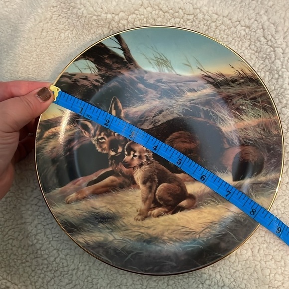 The Red Wolf Will Nelson Vintage Last of Their Kind: Endangered Species Plate - Picture 15 of 16